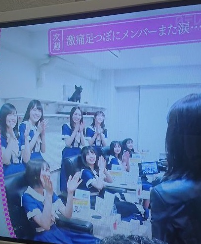 乃木坂どこへ 浜松町 聖地巡礼レポート 足つぼ ドクターフット 東京タワー 坂道グループの小話したい